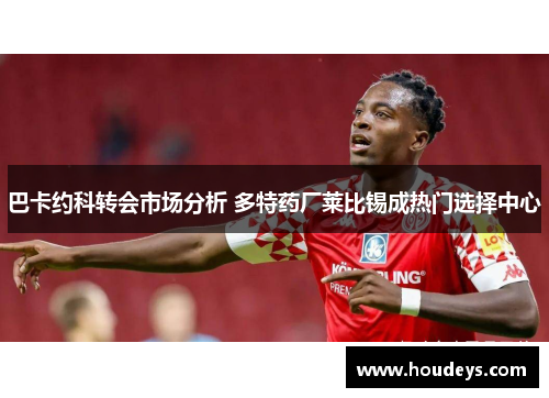 巴卡约科转会市场分析 多特药厂莱比锡成热门选择中心