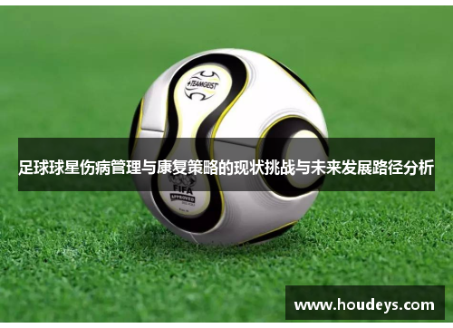 足球球星伤病管理与康复策略的现状挑战与未来发展路径分析